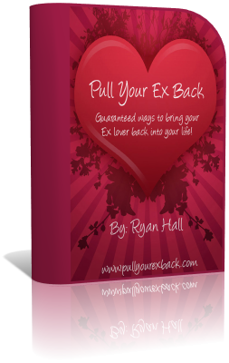 How To Get Your Girlfriend Back Manual